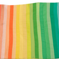 Spring Color Flag, Personal Color Analysis, Color Drapes, Color Consultation, Colorimetria, Analisis de Color